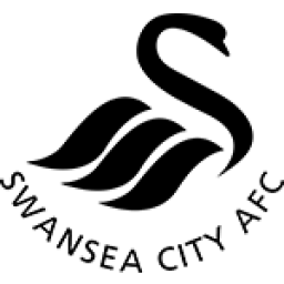 斯旺西直播